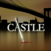 キャッスル～ミステリー作家は事件がお好き | 原題 - Castle