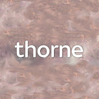刑事トム・ソーン | 原題 - Thorne