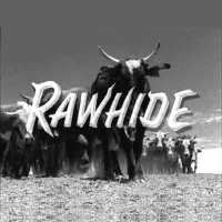 ローハイド | 原題 - Rawhide