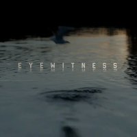 EYEWITNES／目撃者 | 原題 - EYEWITNESS
