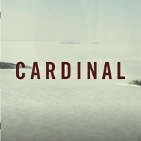 刑事カーディナル | 原題 - CARDINAL