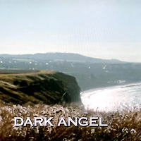 黒衣の天使 女性連続殺人鬼メアリー・アン・コットン | 原題 - Dark Angel