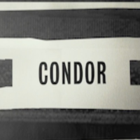 コンドル 狙われたCIA分析官 | 原題 - Condor