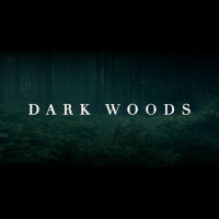 死を招く森 引退刑事ベトゲの執念 | 原題 - Dark Woods
