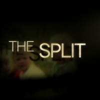 ザ・スプリット 離婚弁護士 | 原題 - THE SPLIT