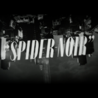 スパイダー ノワール | 原題 - SPIDER NOIR